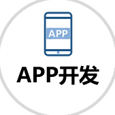 APP開發(fā)