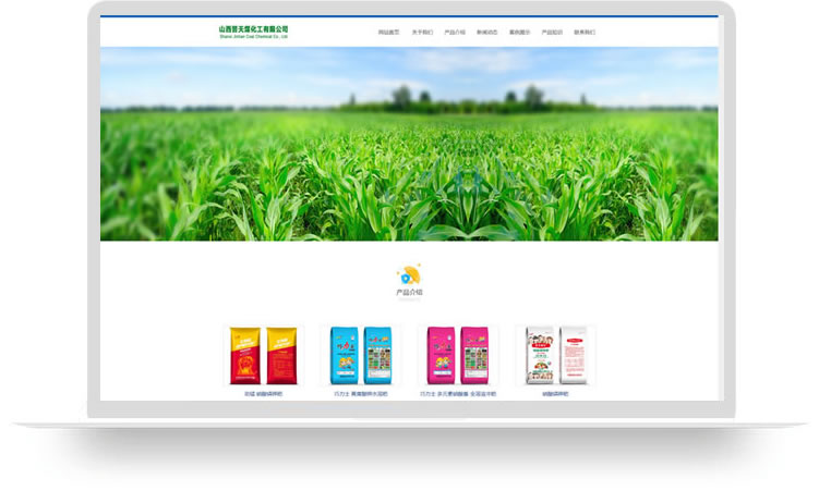 企業(yè)網(wǎng)站設(shè)計(jì)案例,手機(jī)網(wǎng)站設(shè)計(jì)案例